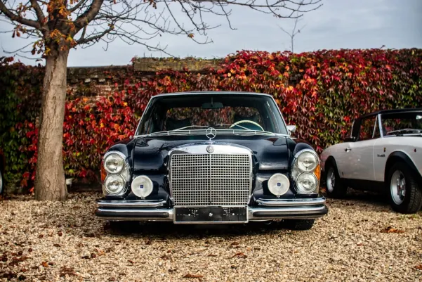 BlueChip Casino Aip Android/iOS